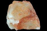 Natural, Red Quartz Crystal Cluster - Morocco #88913-1